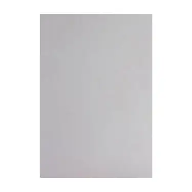 Click Here To Enlarge This Photo Of Slab Standard Light Grey 283 x 496 Door