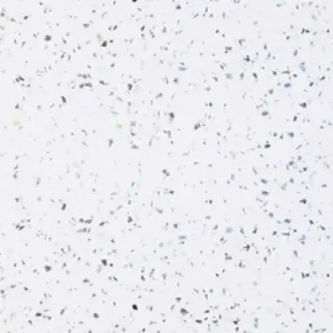 Click Here To Enlarge This Photo Of Multipanel 2400 X 900Mm Blizzard Classic Hydrolock T&G Panel MPG030SHR9HLTG17