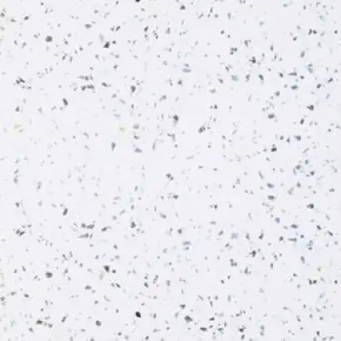 Click Here To Enlarge This Photo Of Multipanel 2400 X 1200Mm Blizzard Classic Unlipped  MPG030SHR