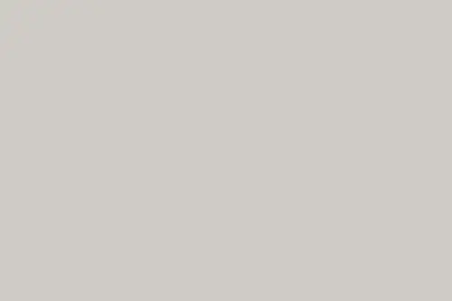 Click Here To Enlarge This Photo Of Absolute 290ml Sealant Adhesive - Light Beige Grey