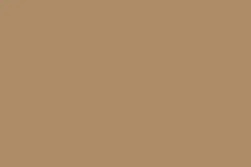 Click Here To Enlarge This Photo Of Absolute 290ml Sealant Adhesive - Soft Brown